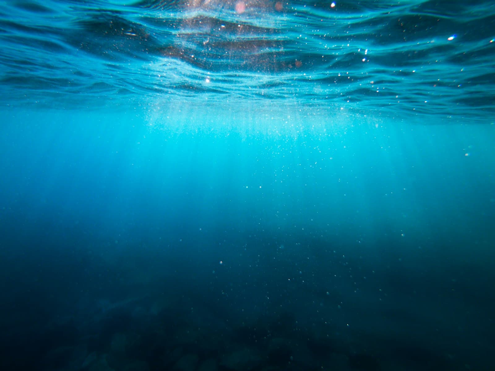 Water Resistance